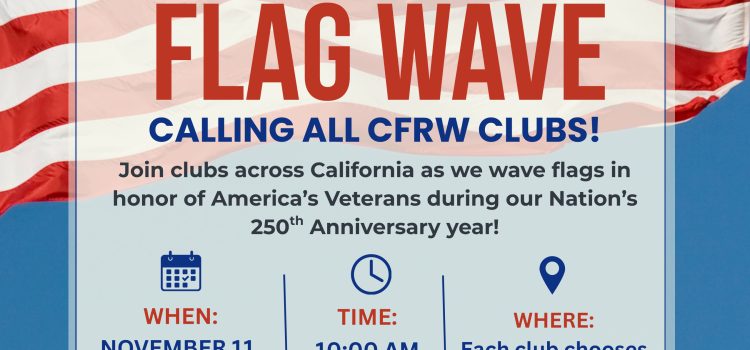 Veterans Day Statewide Flag Waving Event Nov 11